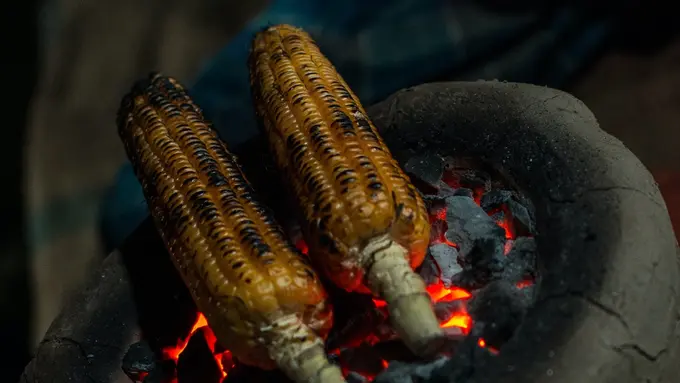 Ilustrasi jagung bakar