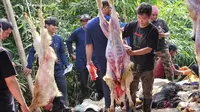 Cara efektif cegah GERD saat Idul Adha 2025: batasi makan daging berlebihan dan tunggu 2 jam sebelum tidur untuk hindari heartburn dan refluks lambung. (Foto: Aditya Eka Prawira/Liputan6.com)