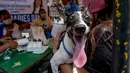 Seorang wanita membawa anjing peliharaannya menunggu vaksinasi rabies gratis di Manila, Filipina, pada 28 September 2020. Hari Rabies Sedunia diperingati tiap 28 September untuk menyebarkan kesadaran akan pencegahan rabies pada hewan peliharaan. (Xinhua/Rouelle Umali)