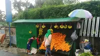 Libur ‎tahun baru ternyata membawa keberkahan bagi penjual wortel di sepanjang jalan menuju Taman Safari Indonesia.