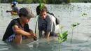 Kegiatan menanam mangrove tersebut dilakukan untuk pencegahan abrasi dan pelestarian hutan mangrove, Kepulauan Seribu, Jakarta Utara, Sabtu (3/5/2014) (Liputan6.com/Miftahul Hayat). 