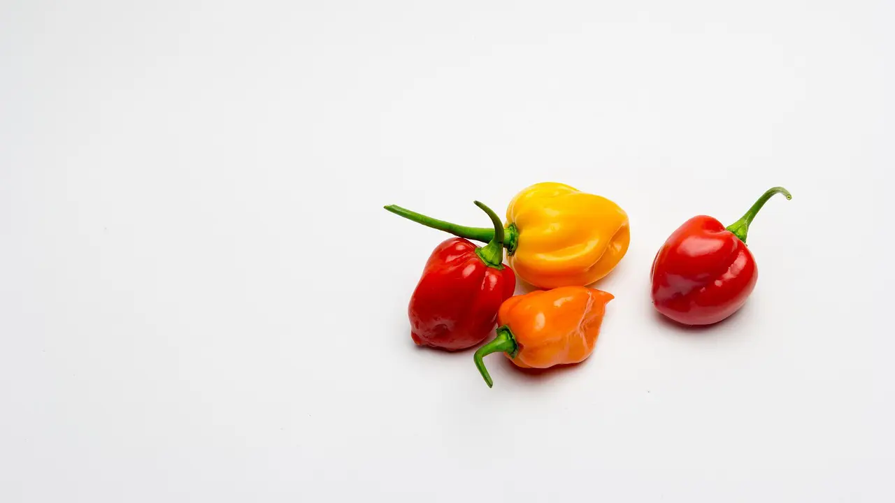 Cabai Habanero