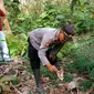 Kerangka manusia ditemukan di hutan jati di wilayah Perkebunan PTPN XII, Desa Seneporejo Banyuwangi (Istimewa)