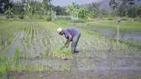 (Foto:Dok.Kementerian Pertanian RI)