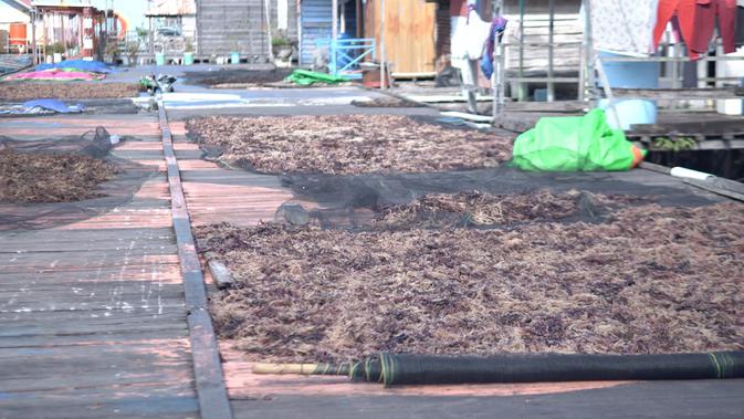 Bontang Gencar Gaet Investasi Hilirisasi: Peluang Emas Ikan Kaleng dan Rumput Laut