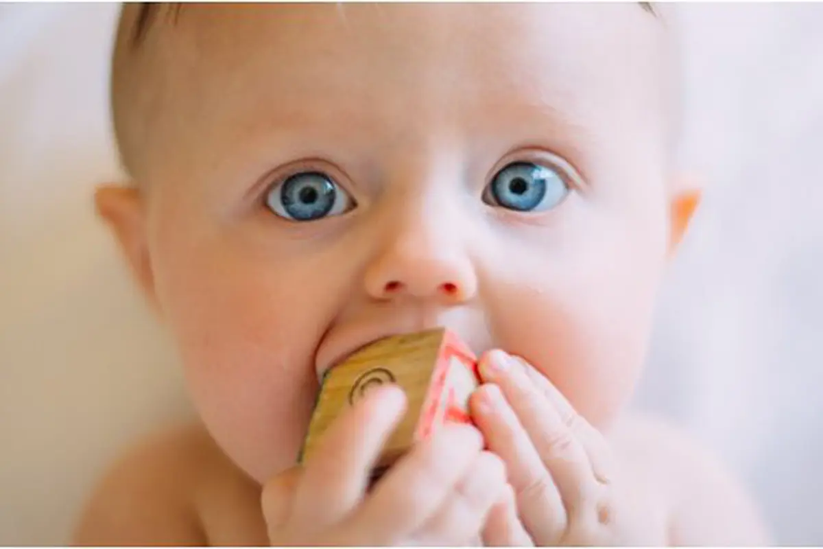 Finger Food/copyright unsplash.com