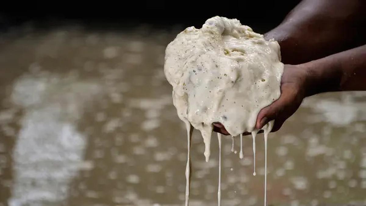 7 Kuliner Papua Berbahan Sagu Paling Populer, Bisa Dibuat di Rumah
