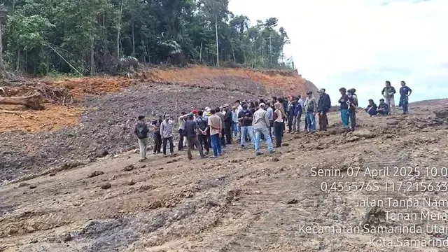 Hutan Pendidikan Unmul Kaltim Mendadak Gundul karena Penambang Batubara Ilegal, Kemenhut Kejar Pelakunya