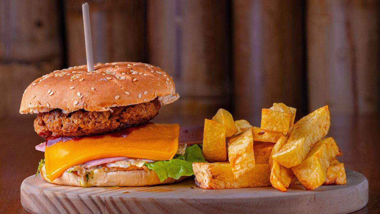 Ilustrasi Burger