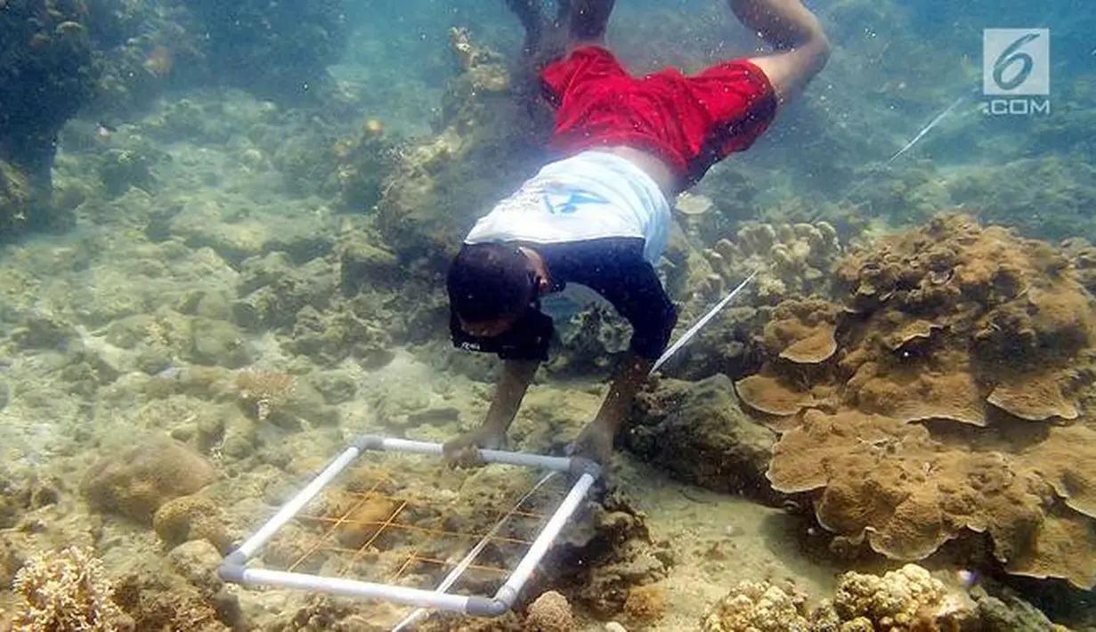 Siswa melakukan pengamatan kondisi terumbu karang pada program Sekolah Pantai Indonesia (SPI) di Pulau Tidung Kecil, Kepulauan Seribu, Jakarta (22/11). Kegiatan Gerakan Cinta Laut oleh KKP menerapkan prinsip dari, oleh dan untuk siswa. (Liputan6.com/KKP)