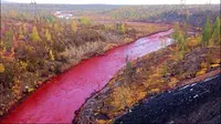 Air sungai tersebut mendadak berubah warna semerah darah. Seolah-olah terjadi pembantaian di hulu. Apa yang terjadi?