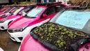 Sayuran ditanam di kap salah satu taksi yang terbengkalai di pool taksi di Bangkok, Thailand, Rabu (15/9/2021). Bagian atap hingga kap mobil yang tak lagi digunakan imbas pandemi COVID-19 itu dialihfungsi untuk menanam berbagai sayuran. (Jack TAYLOR/AFP)
