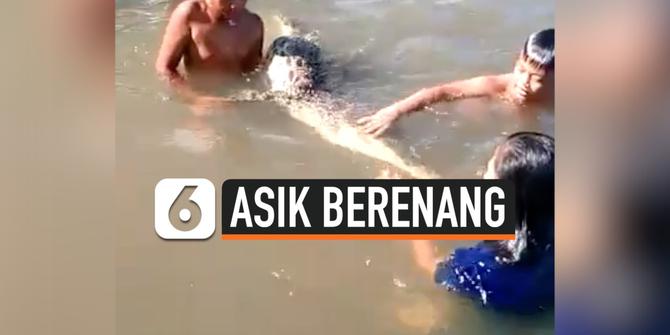 VIDEO: 4 Bocah Asik Berenang Bersama Seekor Buaya