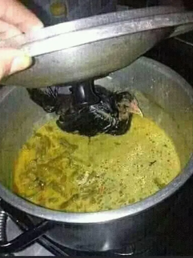 6 Momen Apes Makan Opor Ayam saat Lebaran Ini Bikin Elus Dada