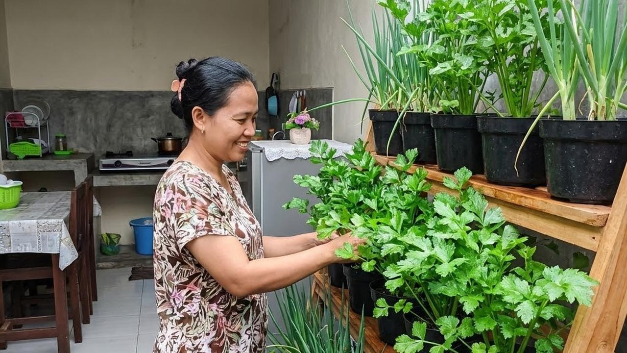 Rak Susun Seledri dan Daun Bawang (Gemini AI)