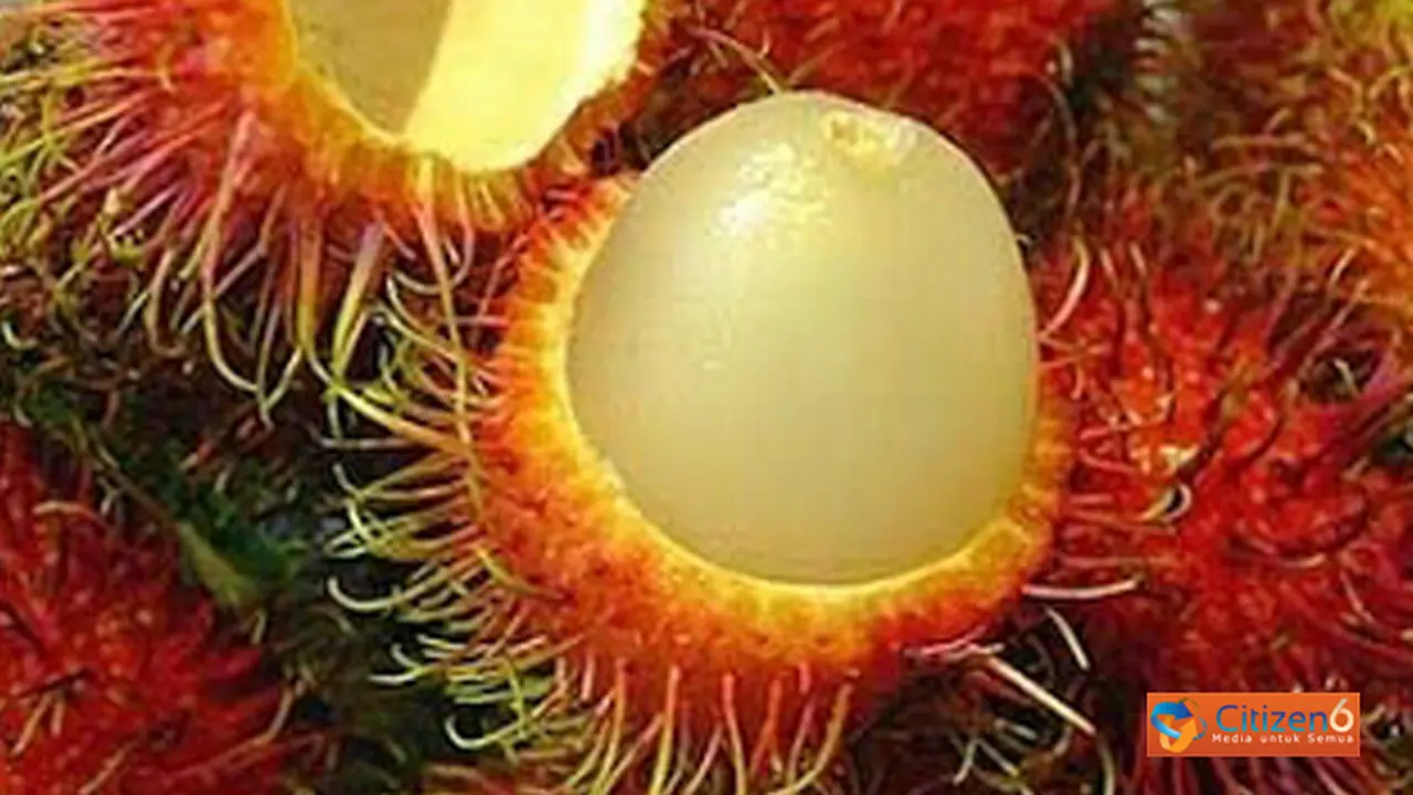131007brambutan.jpg