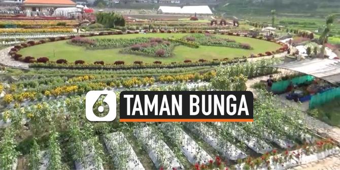 VIDEO: Wisata Taman Bunga di Lereng Gunung Lawu di Magetan