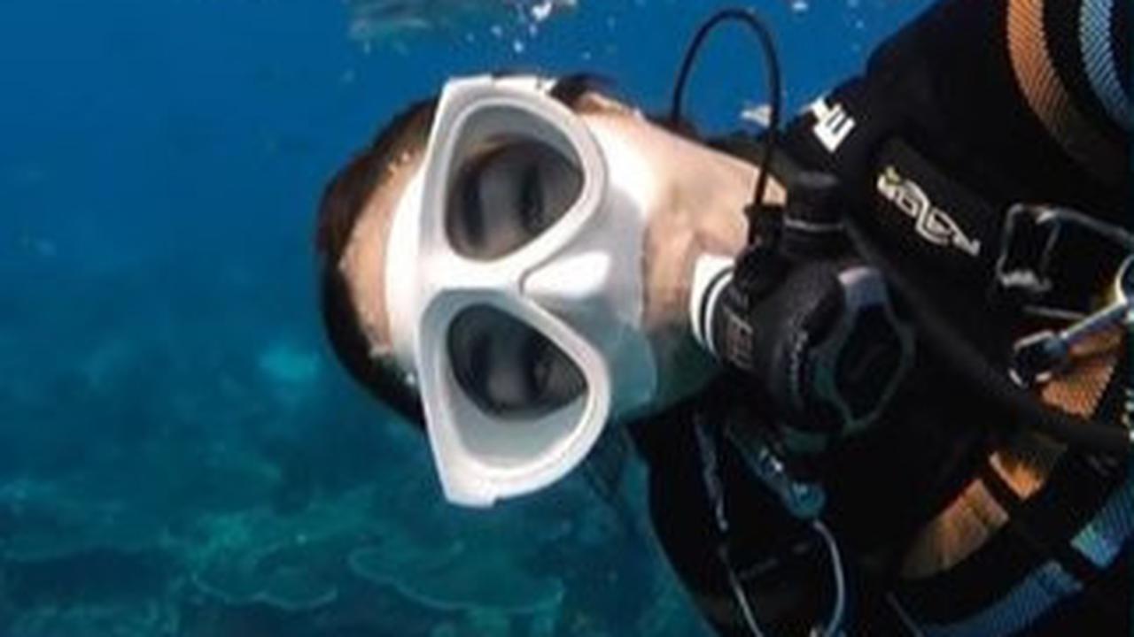 Hobi Diving, Ini 8 Potret Gisel Tunjukkan Keindahan Bawah Laut Raja Ampat