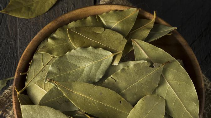 Agar Daun Salam Tahan Lama Begini Tips Menyimpannya