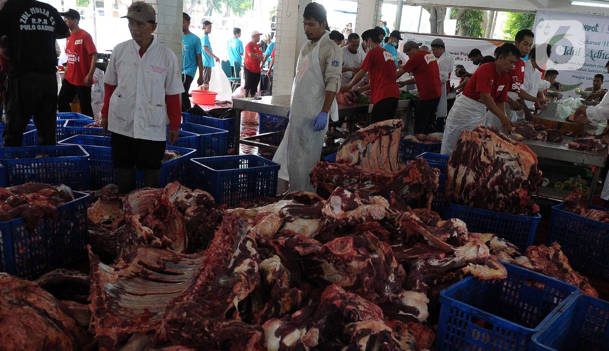 Petugas Suku Dinas Ketahanan Pangan Kelautan dan Pertanian Jakarta Pusat melakukan pemeriksaan kesehatan hewan kurban dari Rumah Potong Hewan (RPH) Masjid Istiqlal, Jakarta, Sabtu (1/7/2023). Pemeriksaan ini dilakukan untuk mengetahui kondisi kesehatan hewan kurban, apalagi di tengah wabah penyakit kuku dan mulut (PMK). (merdeka.com/Imam Buhori)