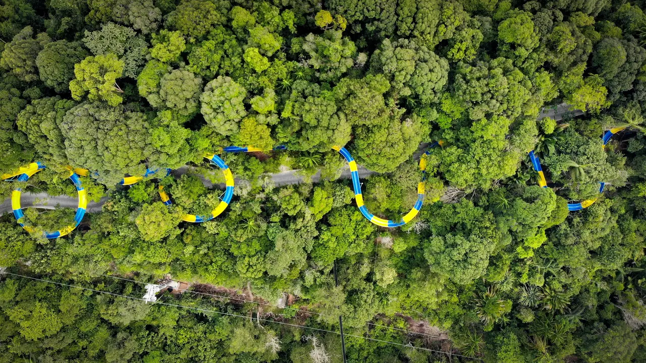 Asyiknya Menyusuri Hutan Lewat Perosotan Air Terpanjang di Dunia