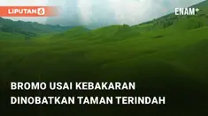 Beredar rekaman terkait kondisi Bromo usai alami kebakaran beberapa waktu lalu. Gubernur Jawa Timur, Khofifah ungkapkan kegembiraan karena TNBTS dinobatkan terindah