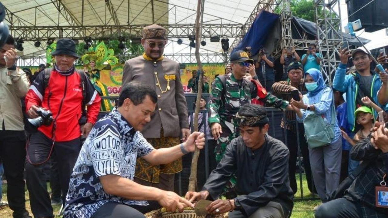 Fakta Unik: Mangga Istana Kesukaan Presiden! Gubernur Minta Festival Mangga Pemalang Jadi Agenda Tahunan