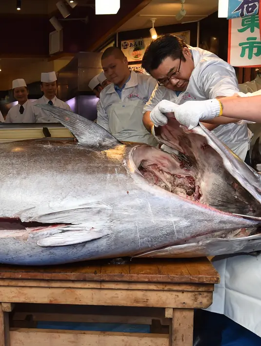 <p>Pekerja jaringan restoran sushi ternama Sushizanmai membuka tuna sirip biru seberat 276 kg yang dibeli perusahaannya di restoran utama mereka di Tokyo, Minggu (5/1/2020). Tuna seharga Rp 24 miliar itu disebut sebagai yang tertinggi kedua dalam rekor lelang ikan di Pasar Toyosu. (Kazuhiro NOGI / AFP)</p>