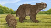 Wombat raksasa di zaman dulu. (Eleanor Pease via ABC Indonesia)