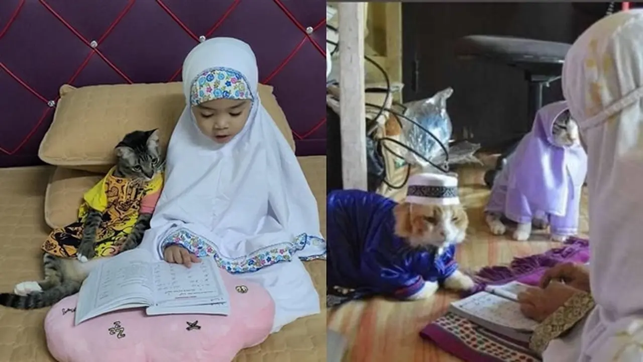 6 Potret Kucing Temani Orang Mengaji Ini Bikin Gemas