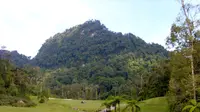 Gunung Penrissen di Borneo, Kalimantan. (Dok: Gunung Bagging/https://www.gunungbagging.com/penrissen/)