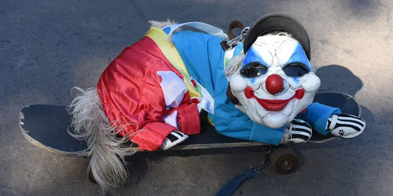 Gaya Unik Sejumlah Anjing Saat Ikuti Parade Halloween di New York