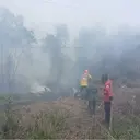 PDIP Ungkap Dua Masalah Utama di Balik Kebakaran Hutan