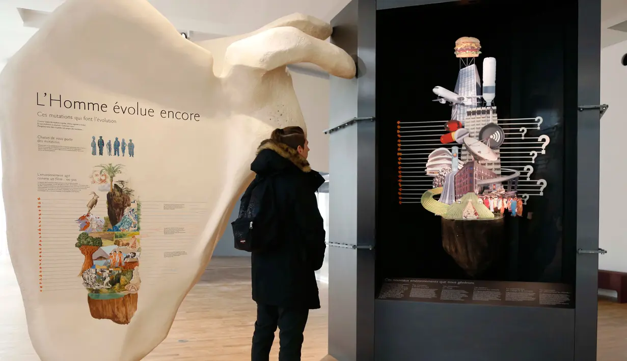 Seorang pengunjung saat melihat salah satu koleksi di Museum Manusia atau Musee de l' Homme, Paris , Perancis, Rabu (14/10/2015). Museum akan dibuka setelah enam tahun mengalami renovasi. (REUTERS/Jacky Naegelen)