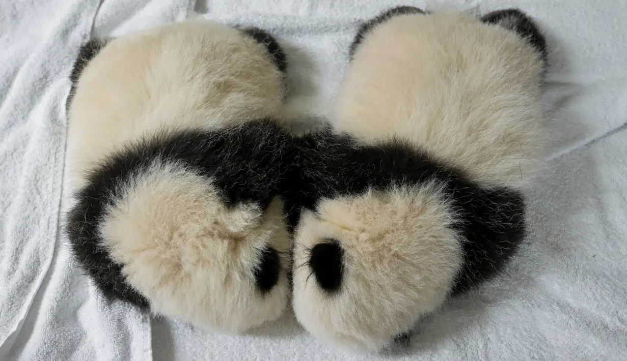 Anak panda kembar bernama Fleur de Coton dan Petite Neige (kanan) tidur di sebuah kotak di Kebun Binatang Beauval, Prancis tengah pada Kamis (30/9/2021). Kedua anak panda itu lahir pada 2 Agustus 2021 lalu dan sekarang beratnya lebih 2800 gram. (SOUVANT GUILLAUME / AFP)