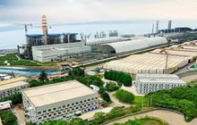 Weda Bay Nickel Reklamaasi 223 Hektare Lahan Pascatambang