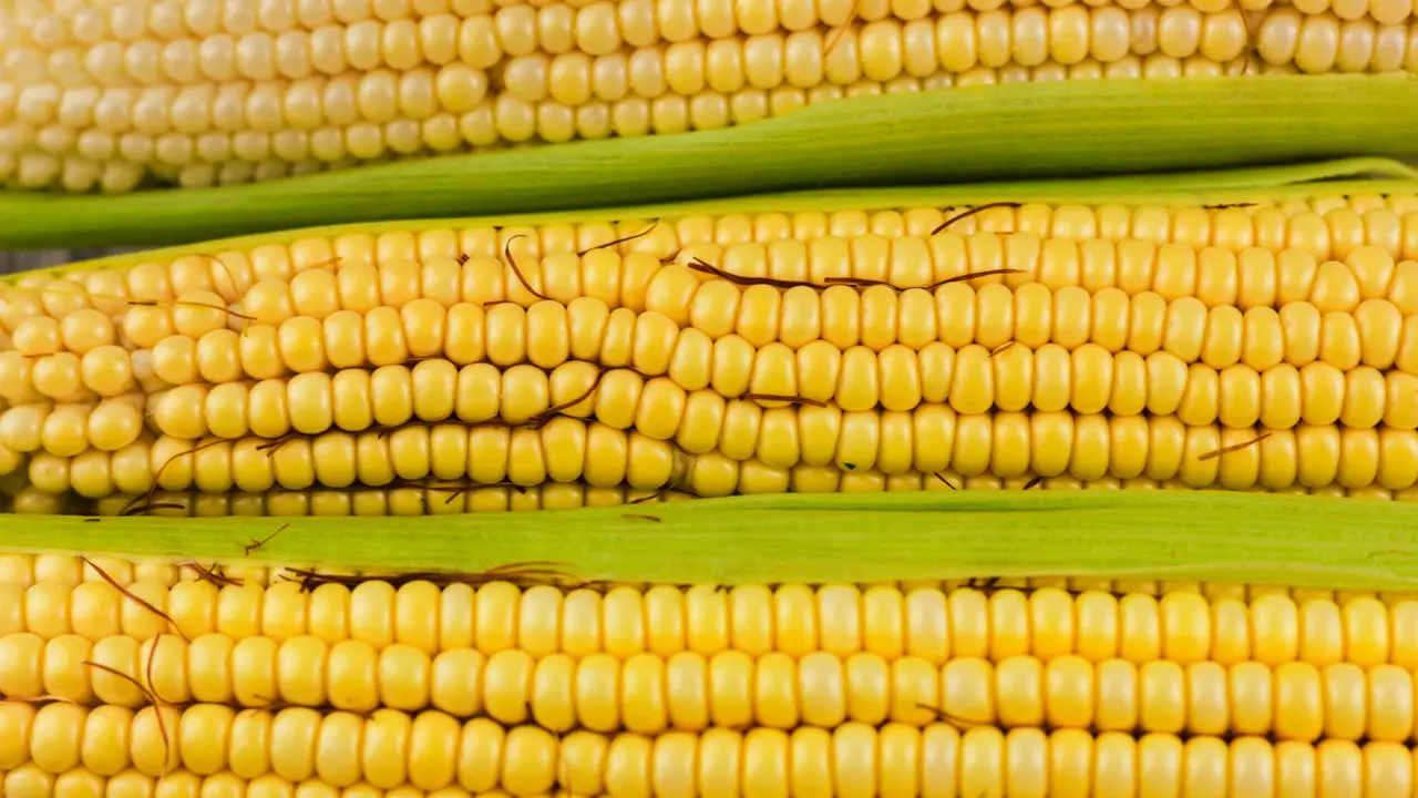 Cara Merebus Jagung yang Bikin Rasa Semakin Manis, Tanpa Perlu Bahan Tambahan