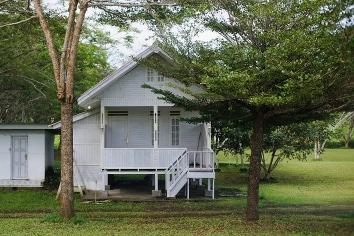 ⁠Desain Rumah Minimalis 6x10 Terbaru (Credit: Jimmy Torey/Unsplash)