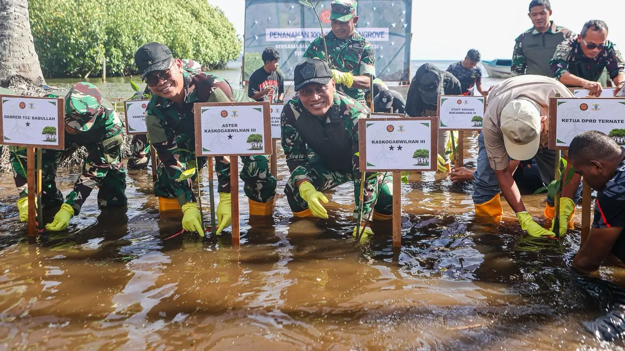 Komando Gabungan Wilayah Pertahanan (Kogabwilhan) III melakukan operasi penghijauan dengan menanam 1.000 pohon mangrove di Pantai Gambesi, Kelurahan Gambesi, Kecamatan Ternate Selatan, Kota Ternate, Provinsi Maluku Utara (Istimewa)