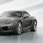 New Porsche Cayman 