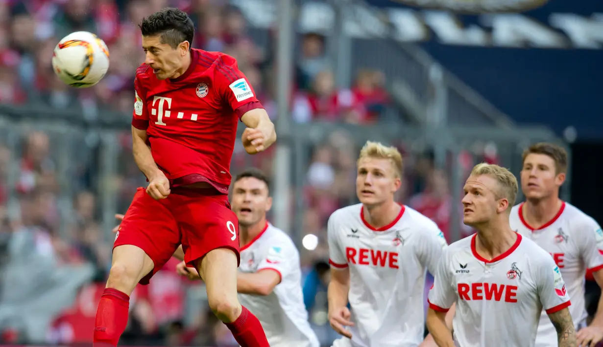 Striker Bayern Munchen, Robert Lewandowski mencetak gol melalui sundulan pada laga Bundesliga melawan FC Koln di Stadion Allianz Arena, Jerman, Sabtu (24/10/2015). Munchen berhasil menang 4-0. (EPA/Sven Hoppe)