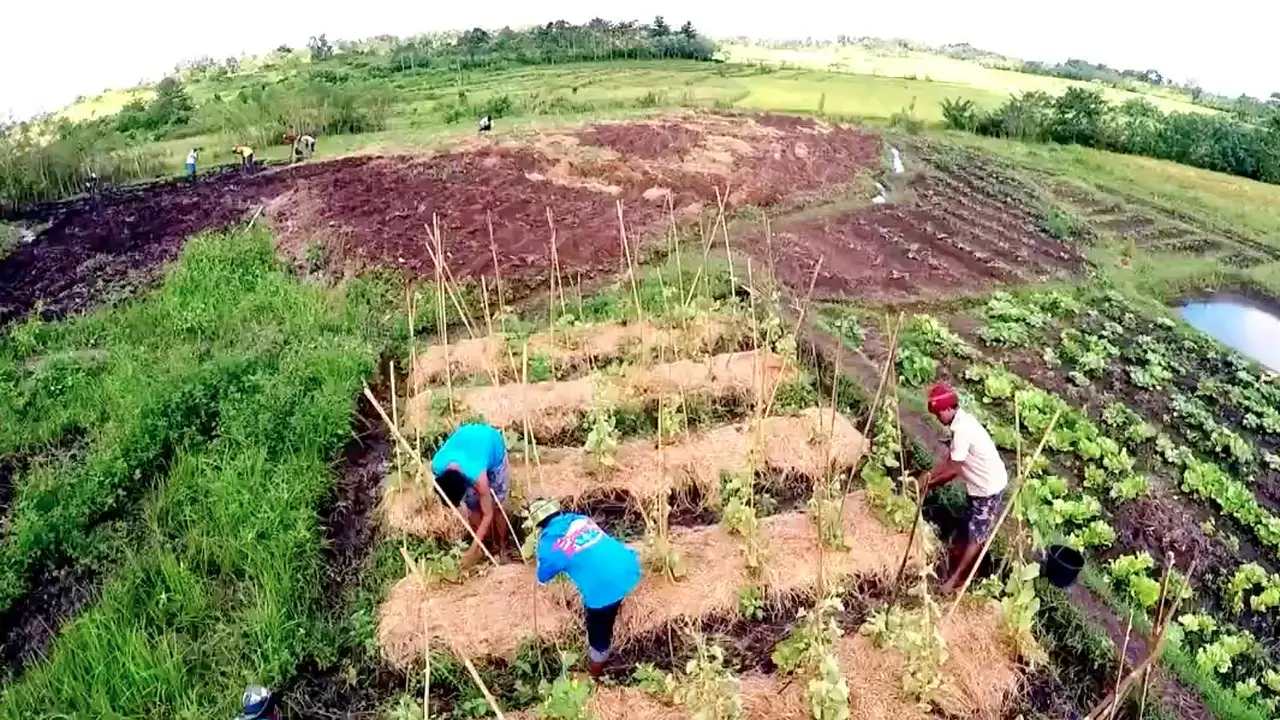 Pulau Sumba