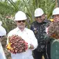 Menteri Pertanian, Syahrul Yasin Limpo panen kelapa sawit di Ogan Komering Ilir, Sumatra Selatan. (Foto: Istimewa)