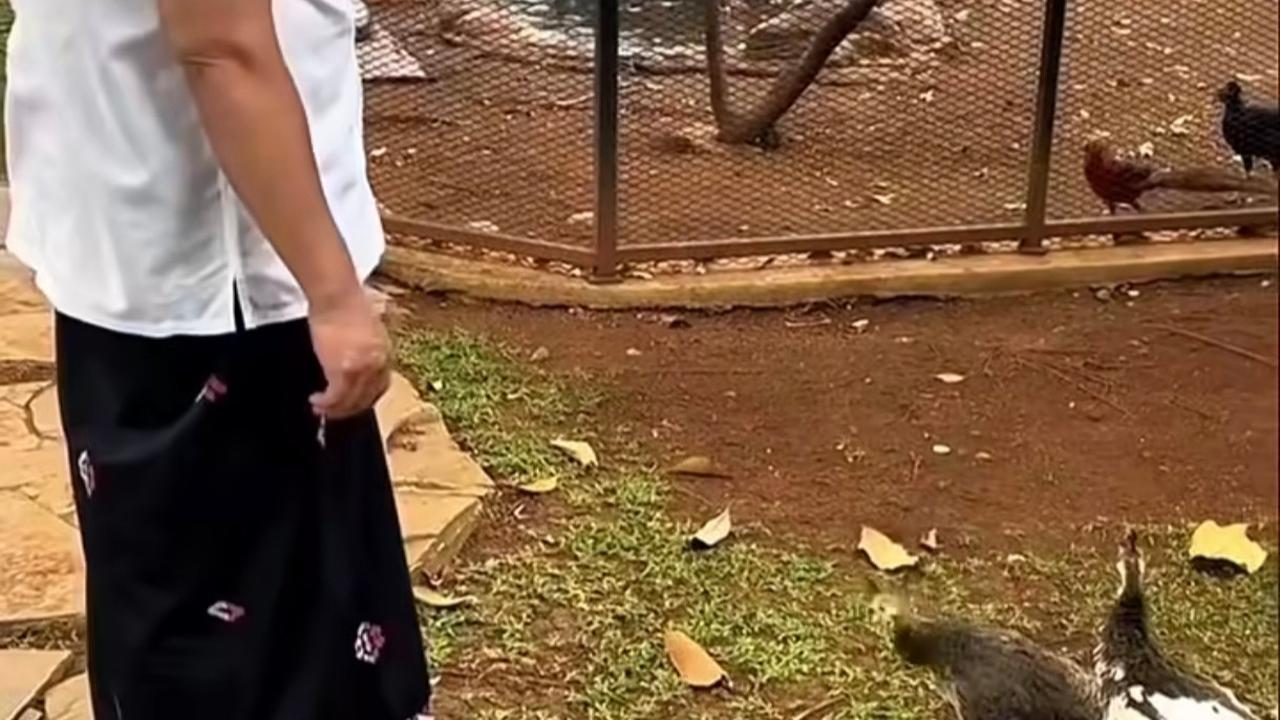 Panglima TNI Jenderal Agus Subianto Bermain dengan Hewan Peliharaan