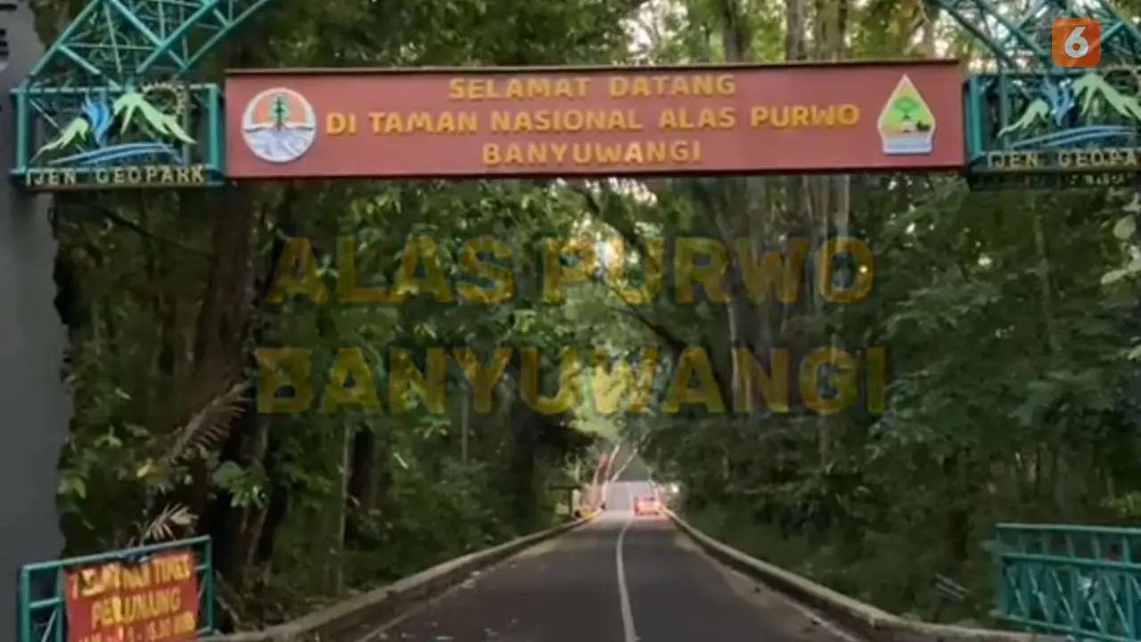 Kisah Mistis Alas Purwo Hutan Tertua Pulau Jawa