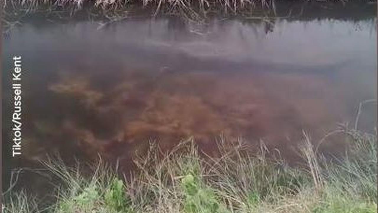 VIDEO: Apa Jadinya Kalau Asal Berenang di Sungai Sebelum Pakai Kacamata Ini