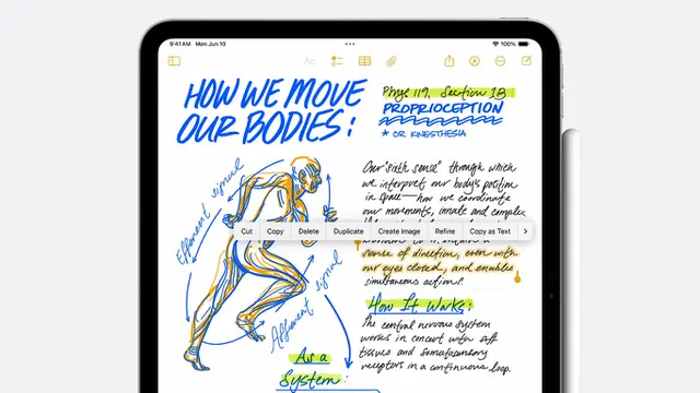Smart Script iPadOS 18