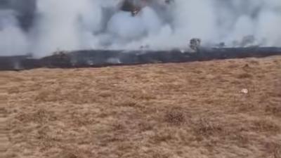 Suryakencana Gunung Gede Kebakaran, Dedi Mulyadi: Jangan ke Hutan Bawa Rokok