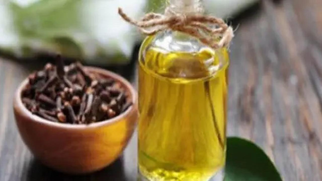 Ternyata Bau-Bauan Ini Bisa Mengusir Ular Secara Alami