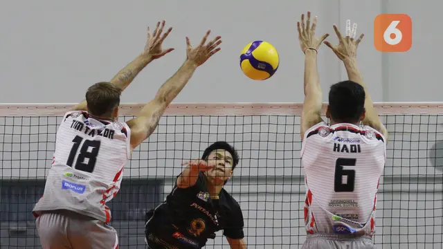 Foto: Jakarta Pertamina Pertamax Juara Putaran Pertama PLN Mobile Proliga 2022 usai Tekuk Surabaya Bhayangkara Samator di Laga Pamungkas